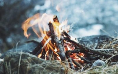 Göra upp eld i naturen & skogen – Allt du behöver veta